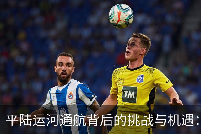 平陆运河通航背后的挑战与机遇：货物流向转变之道